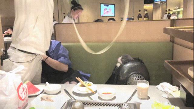 网红餐厅土味表演,网红餐厅的土味表演