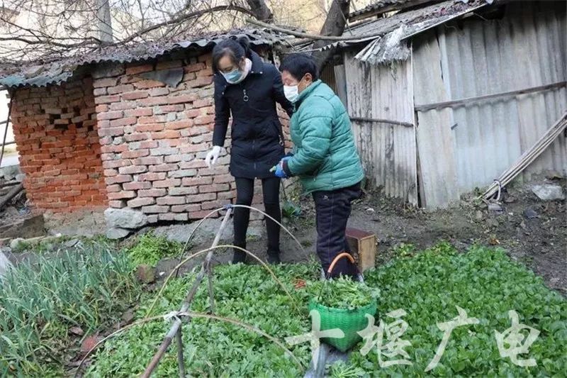 打赢这场仗就回去和你结婚完整版,打赢这场仗就回去和你结婚图片