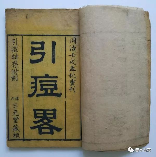 中医治疗瘟疫的药方,历史上治瘟疫的中药名方