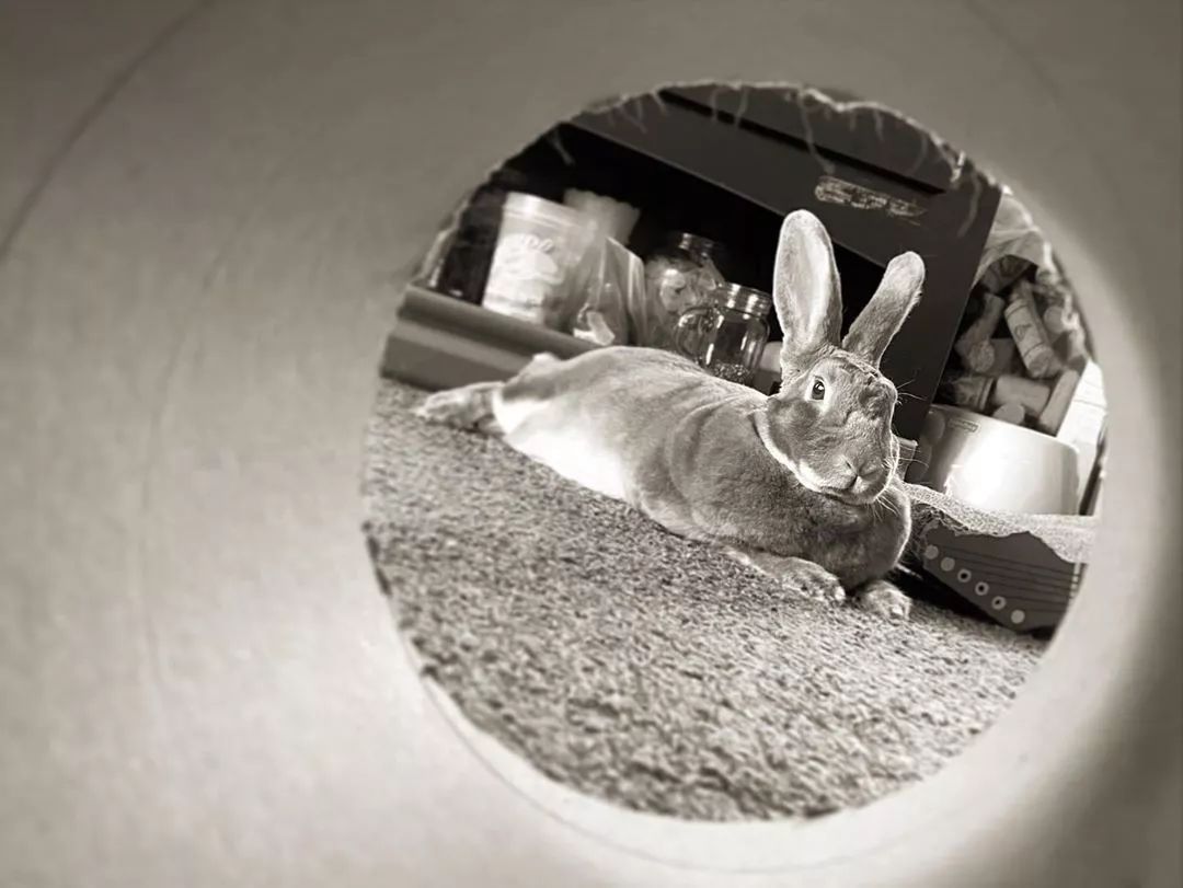 适合三个人玩的室内游戏大全,适合室内游戏的100种玩法