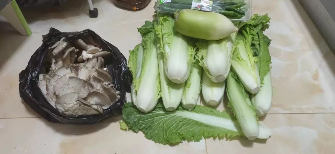 从道真回到鸭溪,居家隔离14天之后,她说出了遵义人的心声