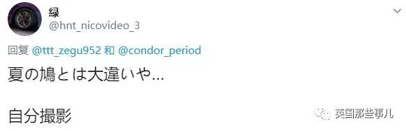 同样是冬天胖成球，凭什么鸟球就这么可爱