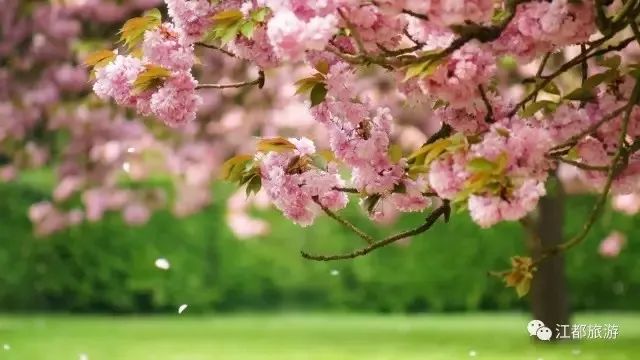 多希望睡醒一觉,多希望睡醒以后有惊喜