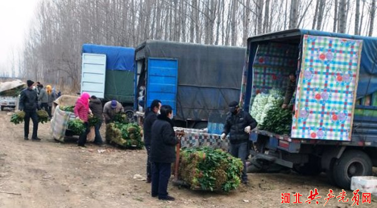 党群架起连心桥实事办在心坎上,党建引领搭建惠民连心桥