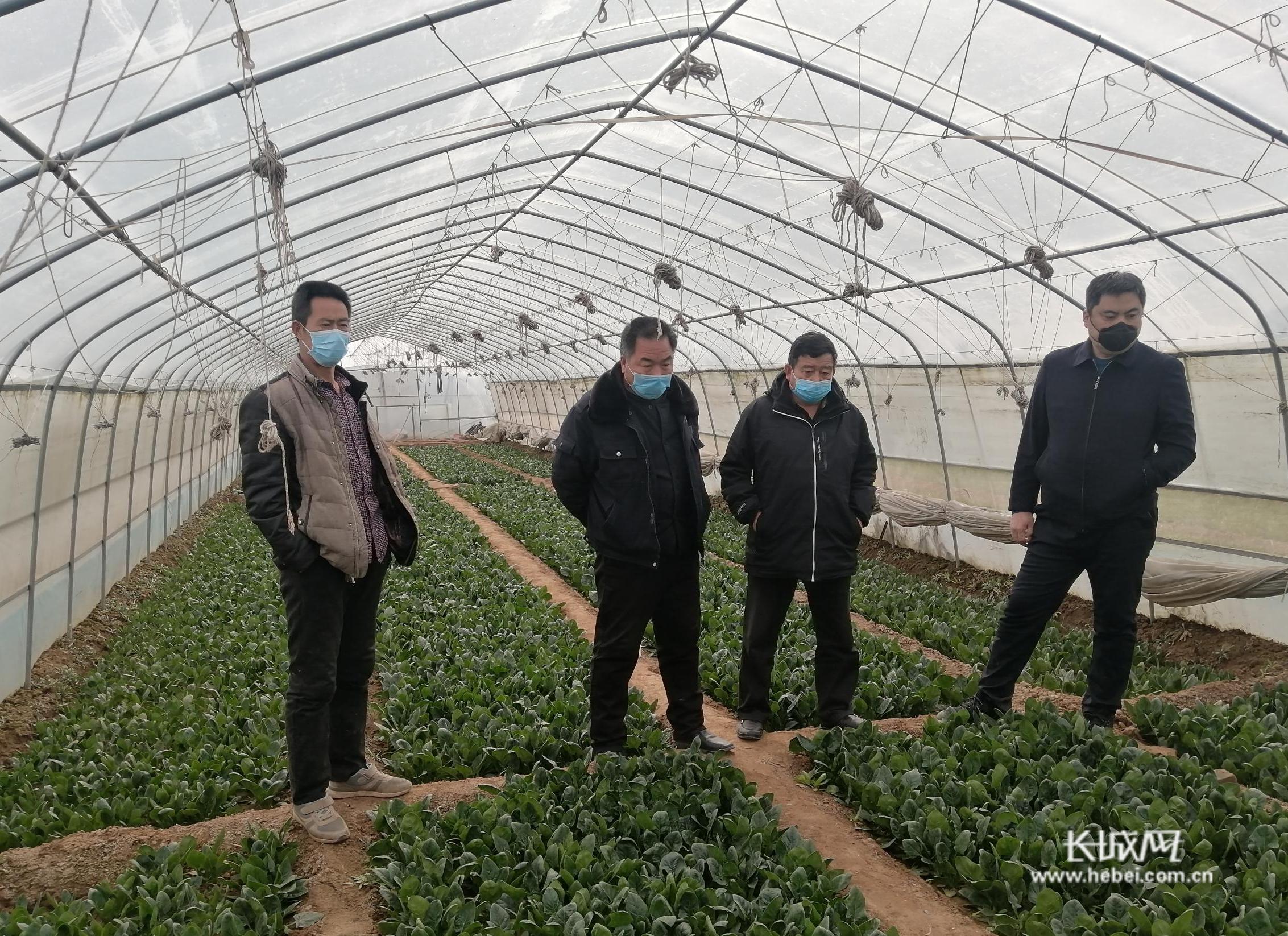 临漳车往营村支书刘峰,刘峰临漳