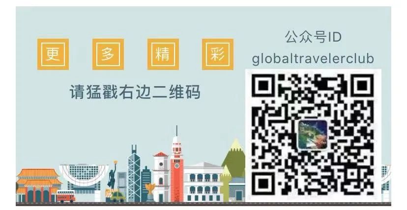 新秀丽行李箱灰绿,新秀丽17年行李箱