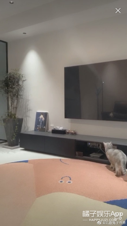 马伯骞美国豪宅摩登家庭,金在中寂寞综艺