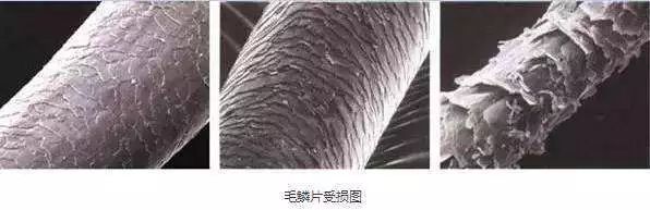 防脱发的生姜洗发水安利,官方推荐防脱洗发水