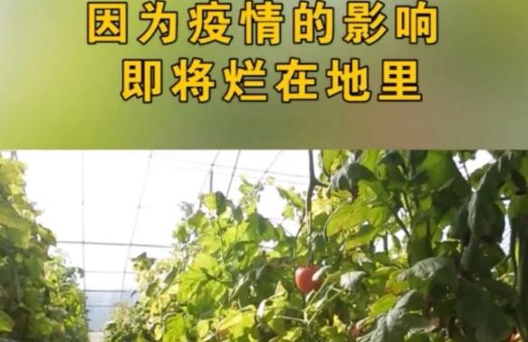 沭阳融媒战“疫”记,在抗疫风口,历练青春