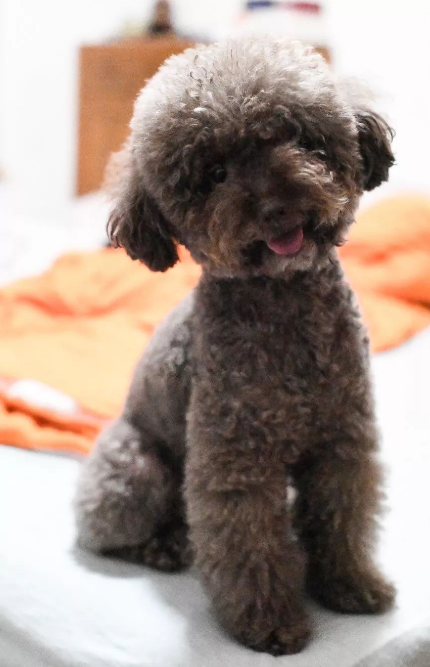 日常生活中的时尚博主,一个居家上班的博主