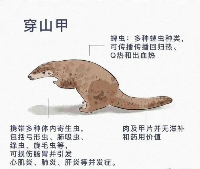 国家把疫情放开了吗,国家是要放开疫情管控吗