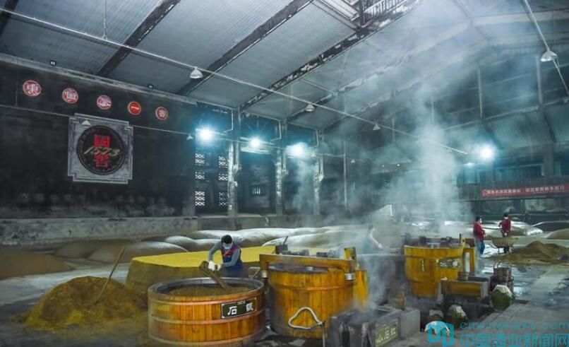 泸州老窖春酿龙年小酒版,泸州老窖春酿有没有收藏价值