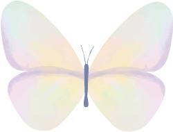 交大姑娘，青春在家乡绽放！棒棒的90后大学生，表彰！