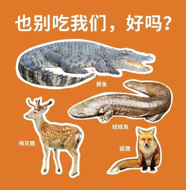 到底什么算是“野味”？