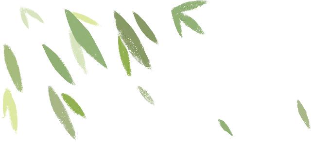 对胃好的花胶是哪种,花胶养胃要选哪种花胶最好