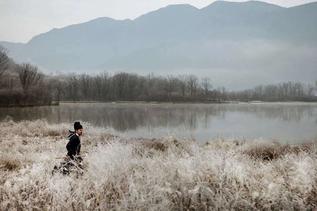 Wes出预告，蜷川实花上新剧，色彩控们又该尖叫了