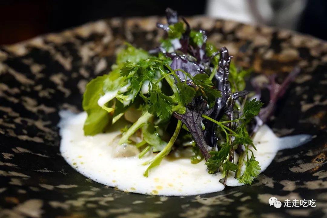 又是一年温故知新时｜走走吃吃的2019-下篇