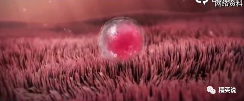 32岁没结婚无娃的女博主,女博主冻卵