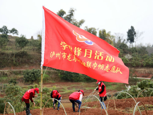 泸州龙马潭：“巾帼雷锋”来助力春耕生产不用愁