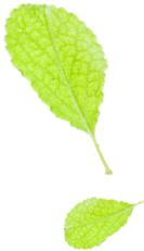 膝盖磕伤，小伙用绣花针自排脓血险送命