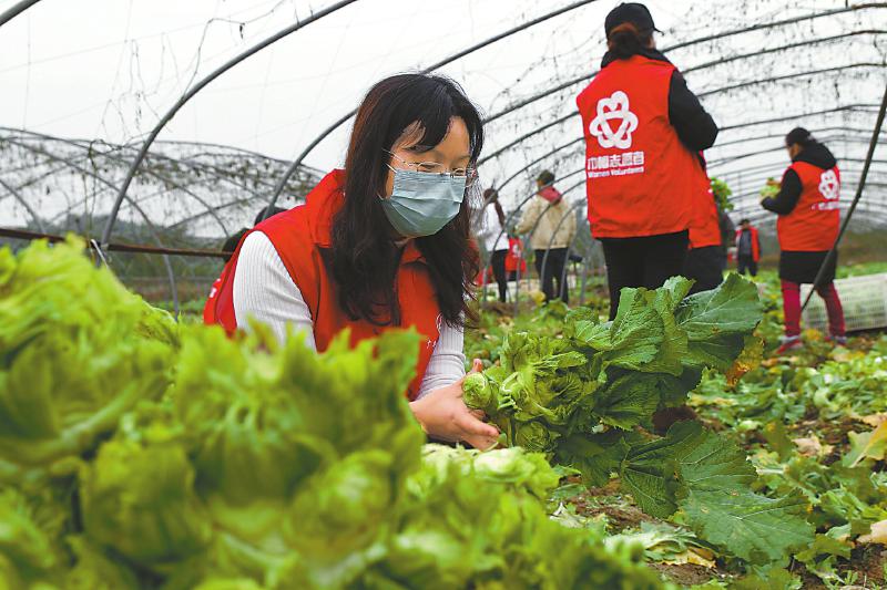 只争朝夕不负韶华共同迎接2020,团结带领妇女建功新时代