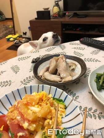 偷吃贵妃香嫩鸡爪,偷吃鸡下跪求饶视频