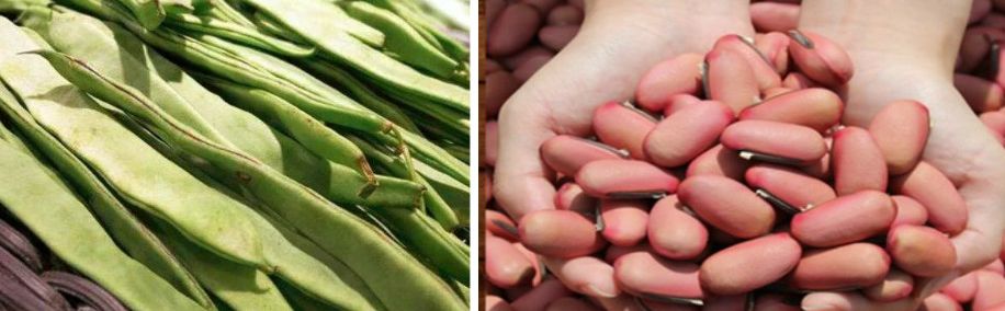 戴着口罩有口臭别人能闻到吗,戴口罩有口臭这些法宝来帮你