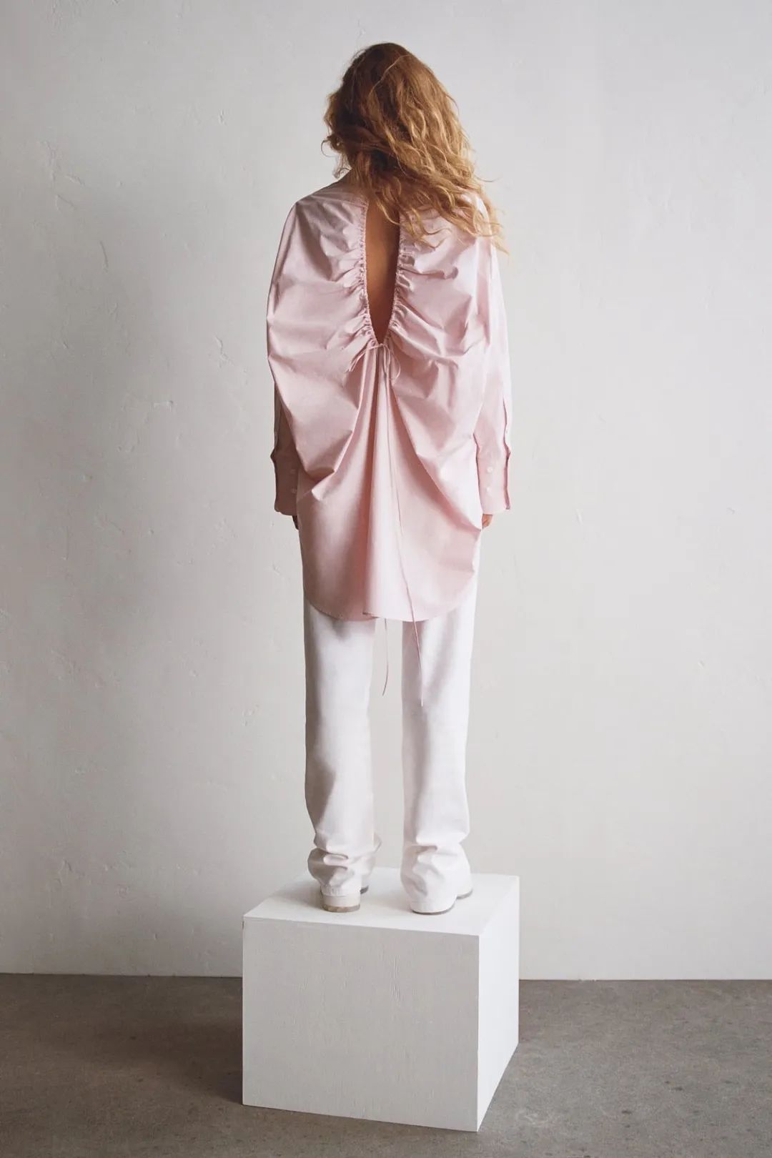 种草时间和方法,种草预算