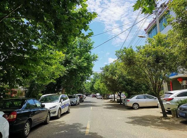 云和有什么特色地点,云和县城里的古街