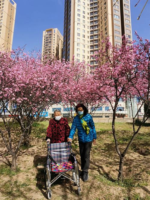 春风十里咸阳湖，花红柳绿渭水清