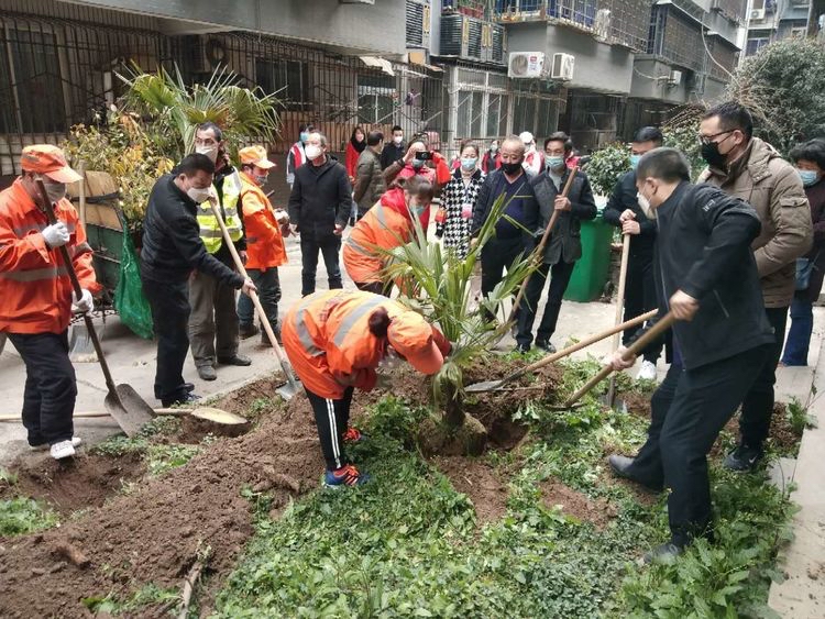 莲湖区植树增绿,莲湖区积极开展义务植树活动
