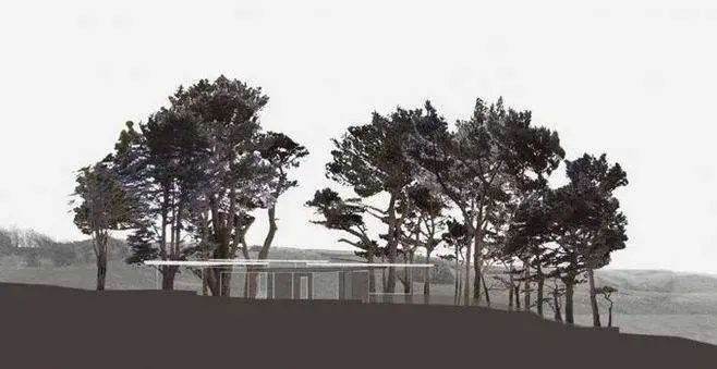 一起来植树的视频,今天适合植树吗