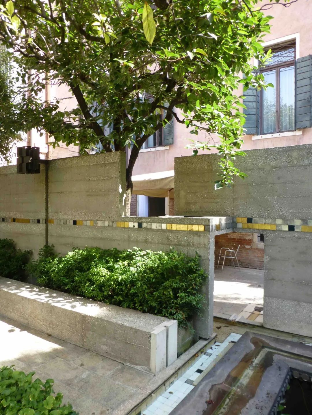 一起来植树的视频,今天适合植树吗