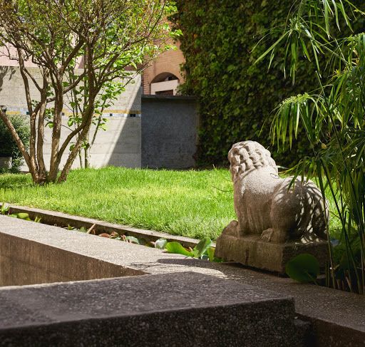 一起来植树的视频,今天适合植树吗