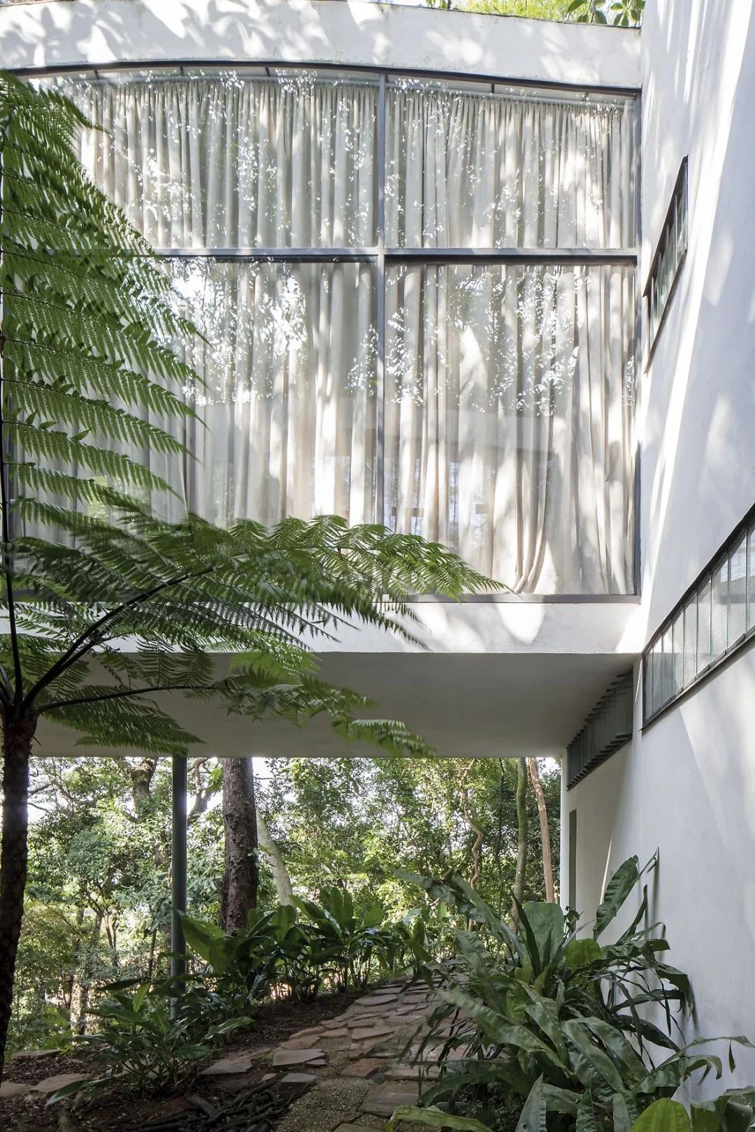 一起来植树的视频,今天适合植树吗