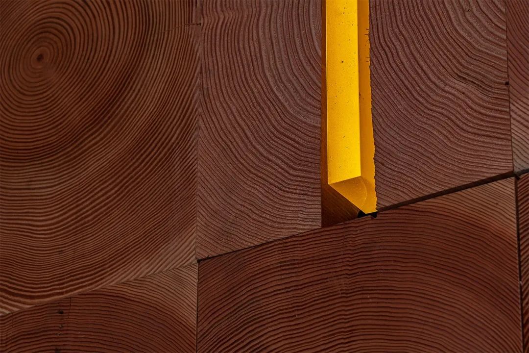 一年一度的植树,现在正在植树的视频