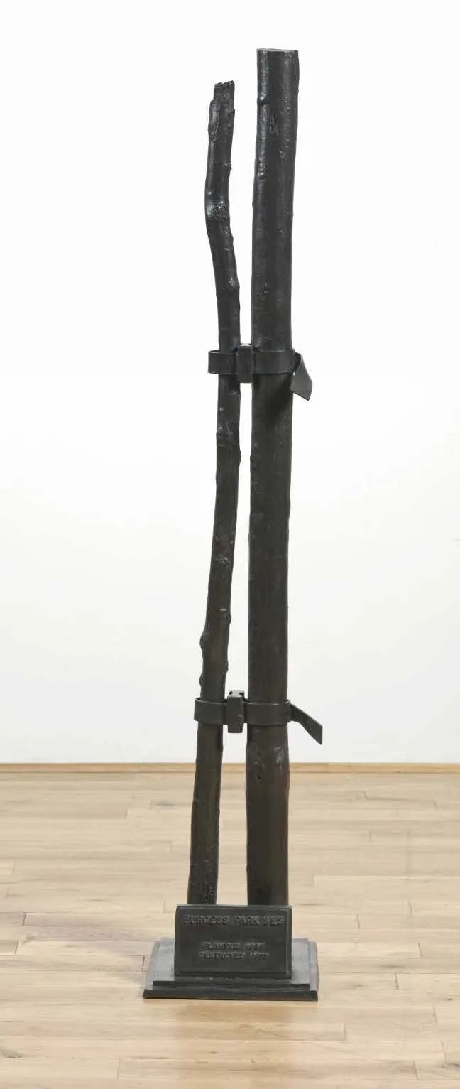 一起来植树的视频,今天适合植树吗