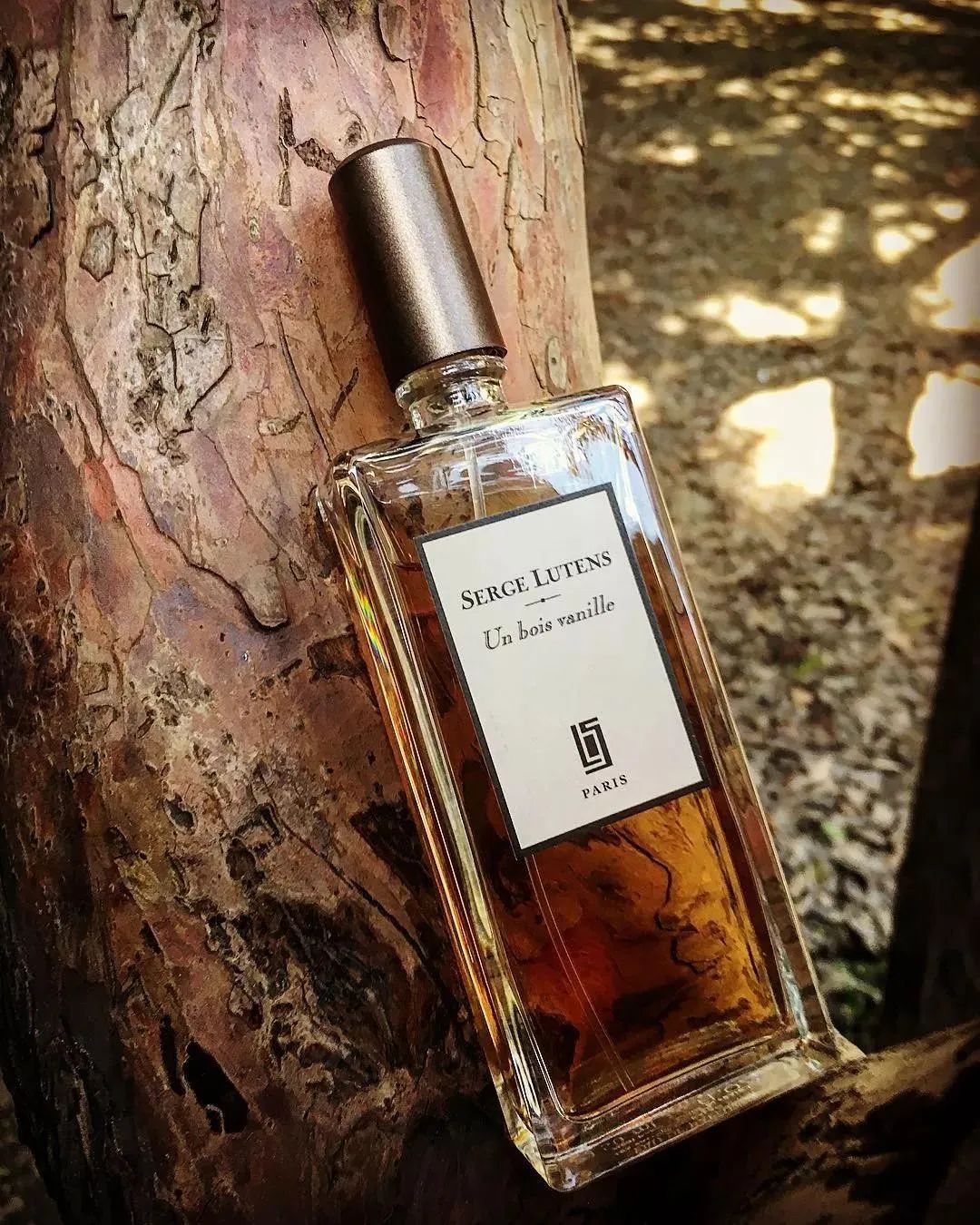 寻香|五彩斑斓的黑算什么,来见识一下五光十色的白