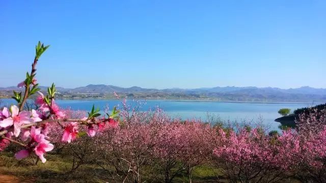 10首春天的诗带你游览大好春光,春天适合踏青的诗句