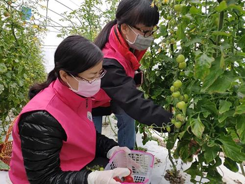 又是一年春来早家乡景色,又是一年春来早万物逢春在今朝