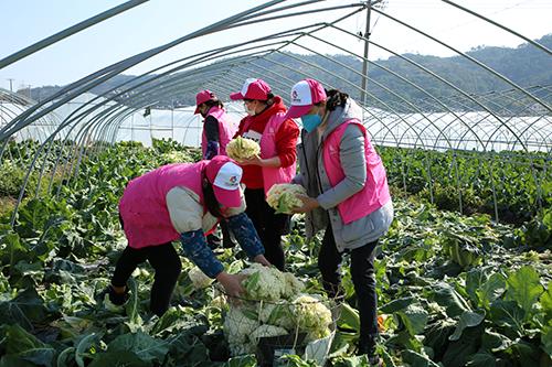 又是一年春来早家乡景色,又是一年春来早万物逢春在今朝