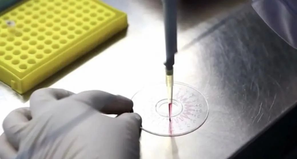 徐念沙：保利最宝贵的经验是建设了高素质员工队伍