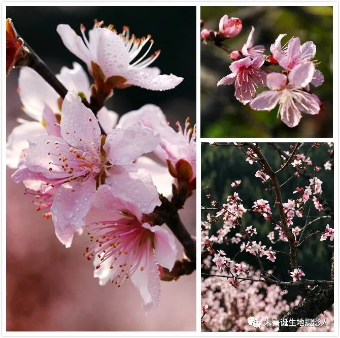家在景区,家在旅游景区是什么体验