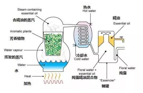 不整容不医美人真的会变吗,不整容的自然美人才是真正的美女