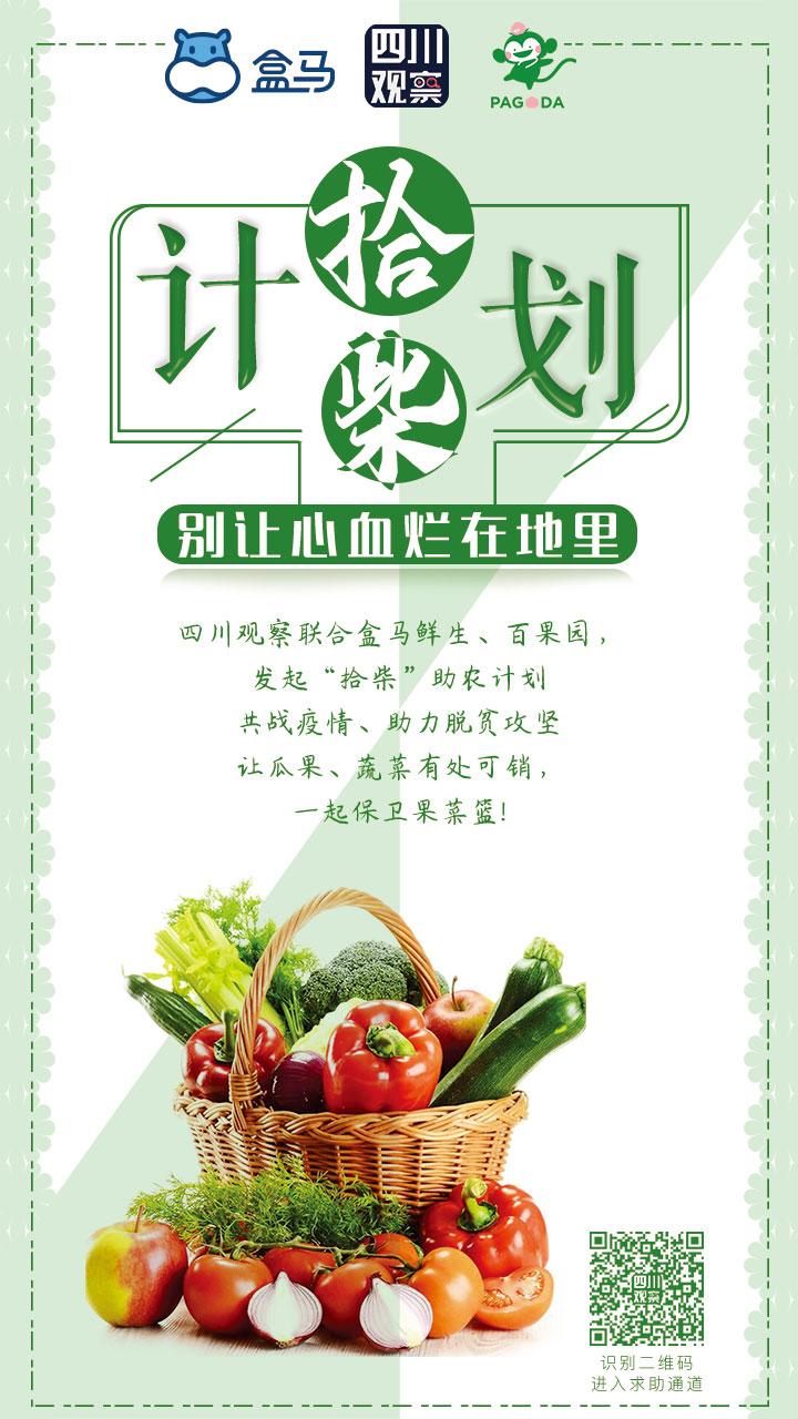 涪城麦冬与襄阳麦冬,拾柴计划