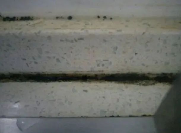 回南天除霉神器,回南天除霉剂