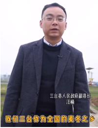 涪城麦冬与襄阳麦冬,拾柴计划