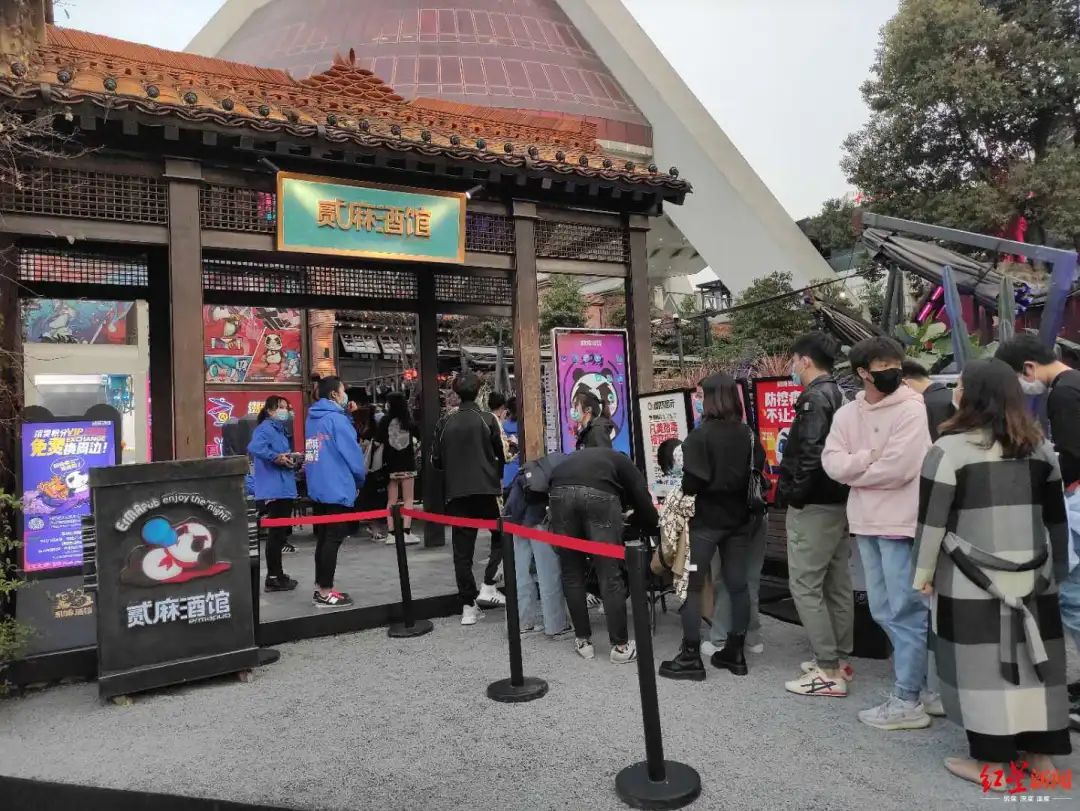 酒馆回归，小酌一杯！成都的夜又亮起来了……