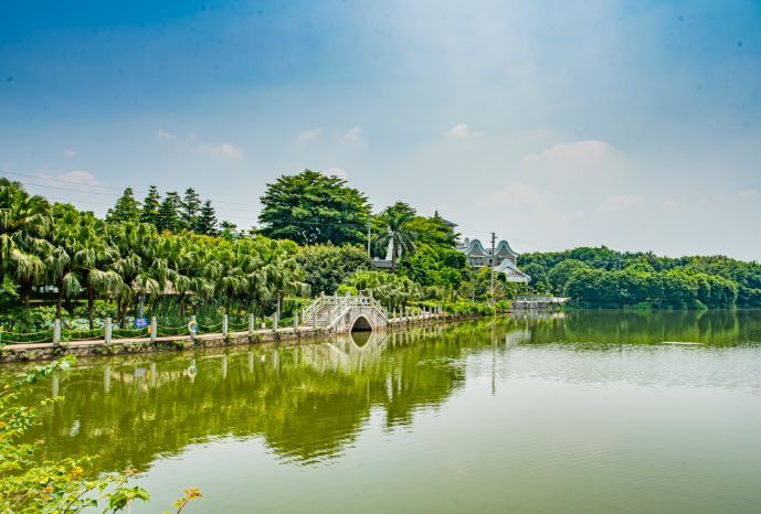 佛山黄岐文体中心最新进展,佛山最新景区活动