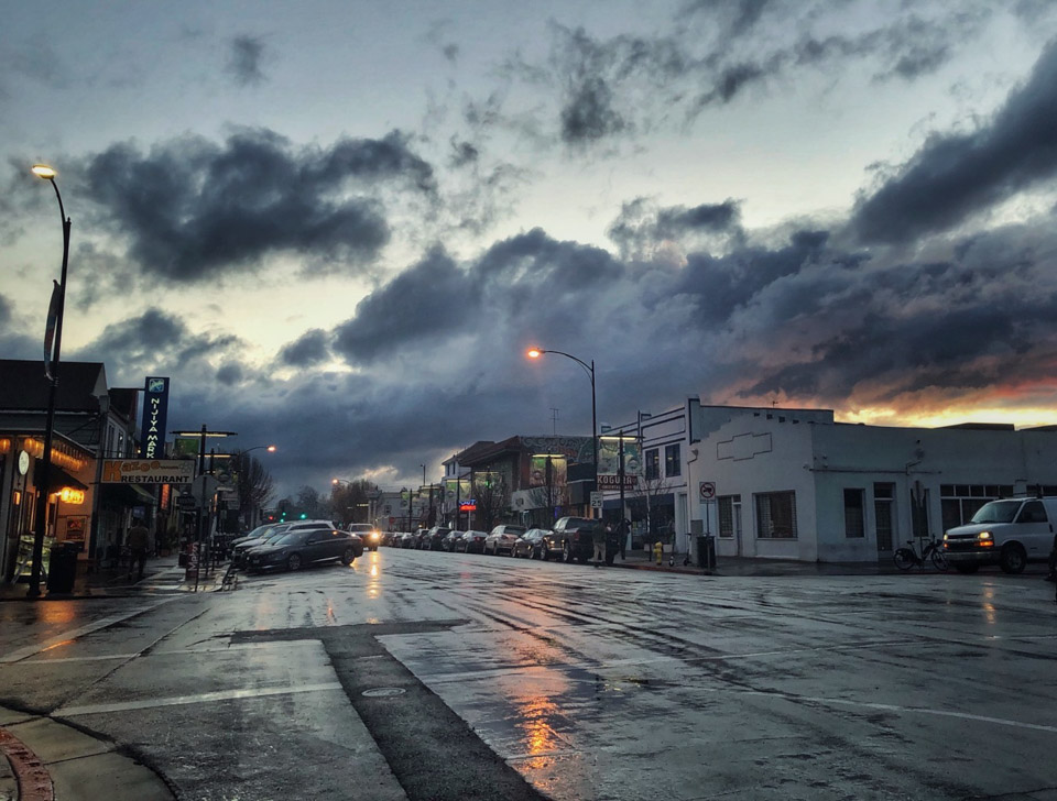 原只想静享加州*光春**，新冠疫情却要我们亲历历史